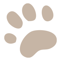 Tiertatze