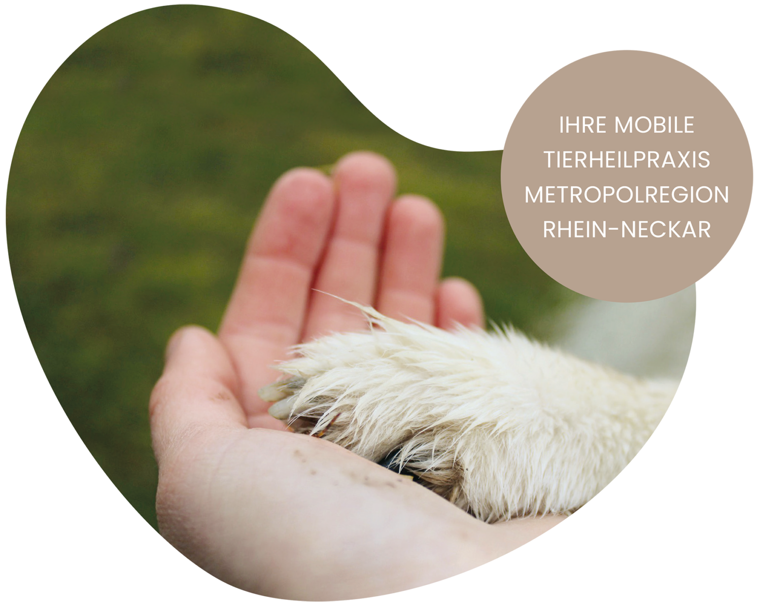 Mobile Tierheilpraxis Tier in guter Hand